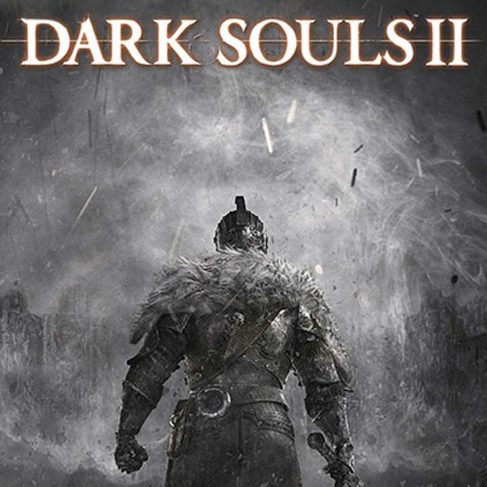 couverture du jeu vidéo dark souls 2